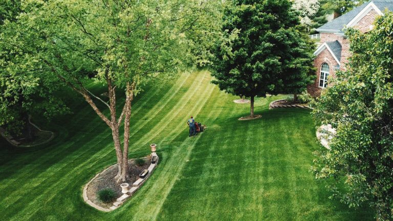 Outdoor Varieties