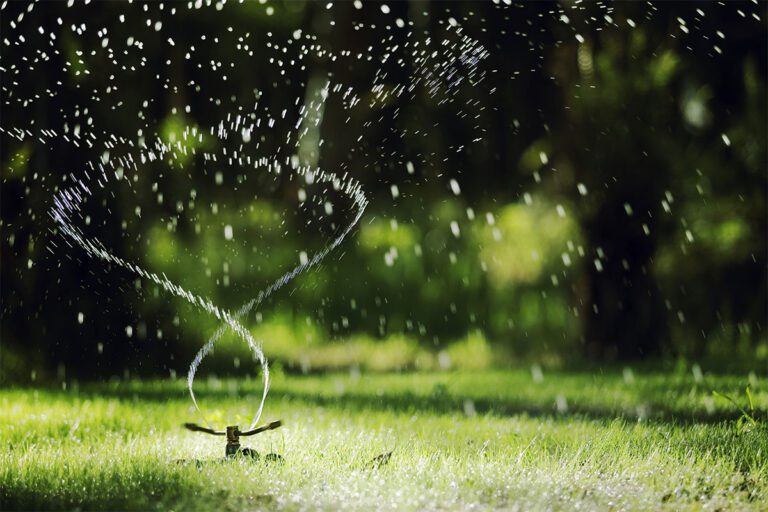 Summer watering tips for St. Charles, Missouri residents!