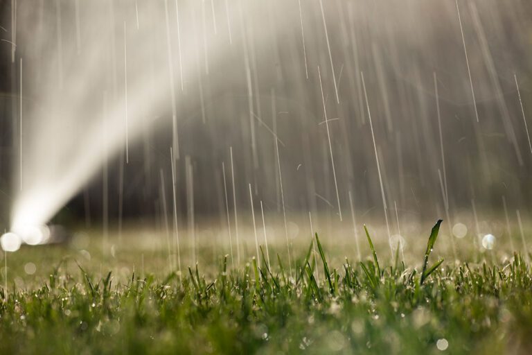 Summer watering tips for Missouri!