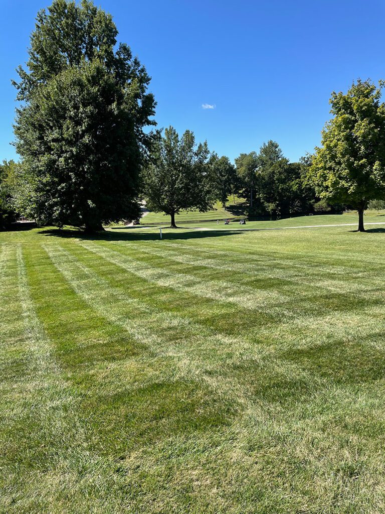 Lawn Care Maintenance